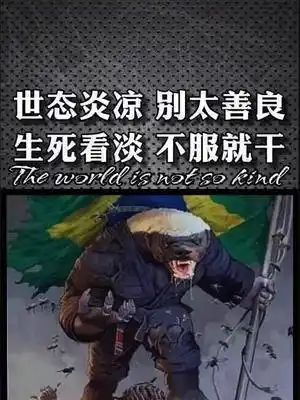 dou小助手世态炎凉别太善良