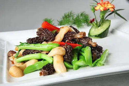 松茸菌炒羊肚菌高清图片下载_红动中国