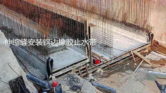 止水带照片 - 2020年最新商品信息聚合专区 - 百度爱采购