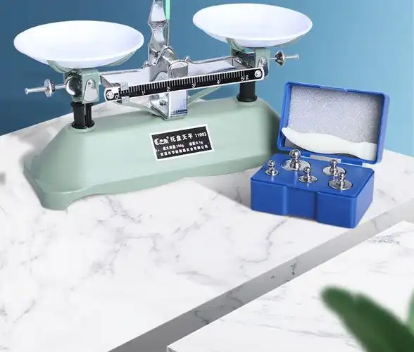 托盘天平秤教具小学生实验物理教学用具一二年级学生用砝码天平称家用