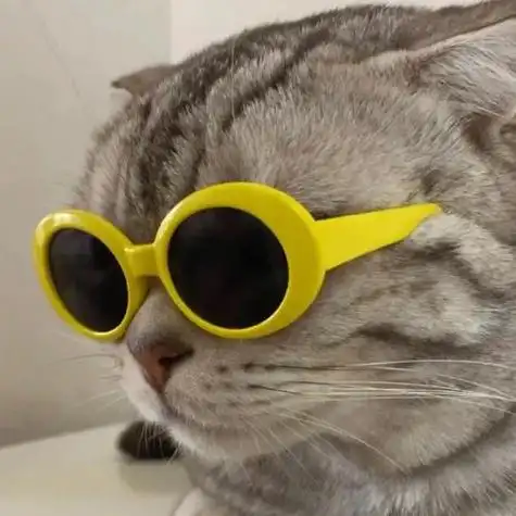 动物拽酷头像 动物头像图片大全 -【爱个性】