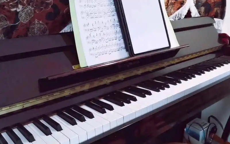 活动  【钢琴】sky光遇「禁阁」bgm