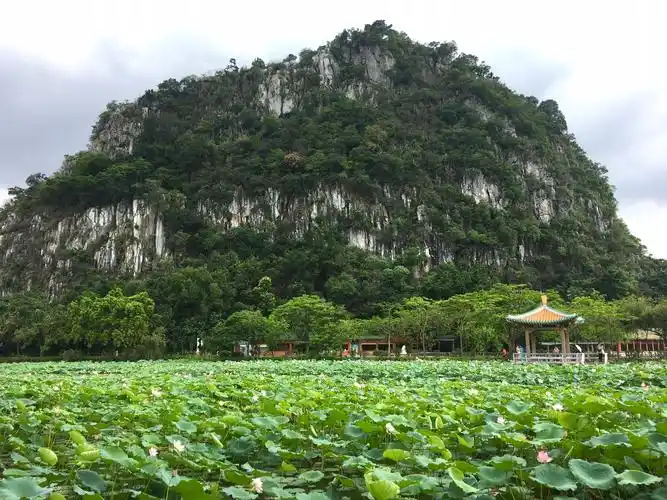七星岩半日游_最新游广东肇庆七星岩图片大全