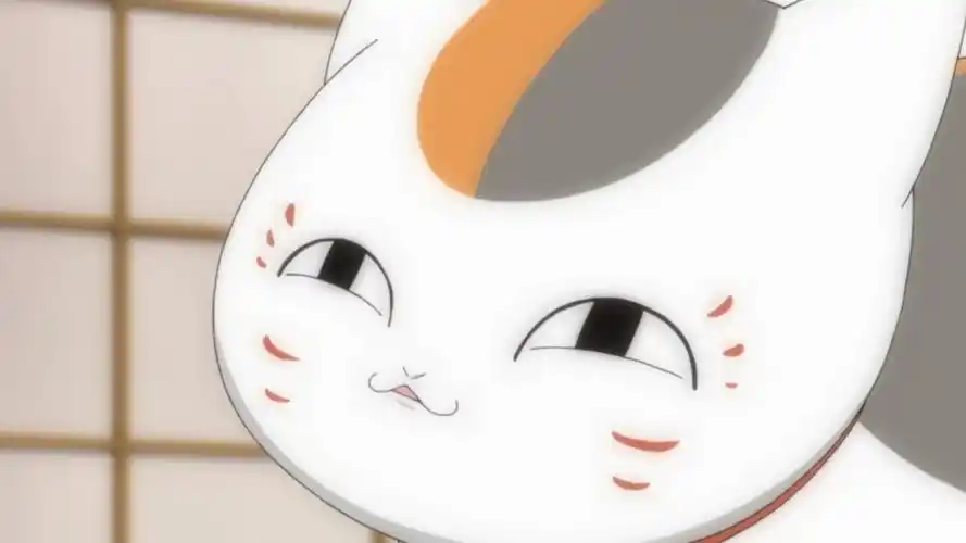 猫咪老师萌贱表情图片桌面壁纸喵咪老师喵咪萌萌的可爱喵咪夏目友人帐