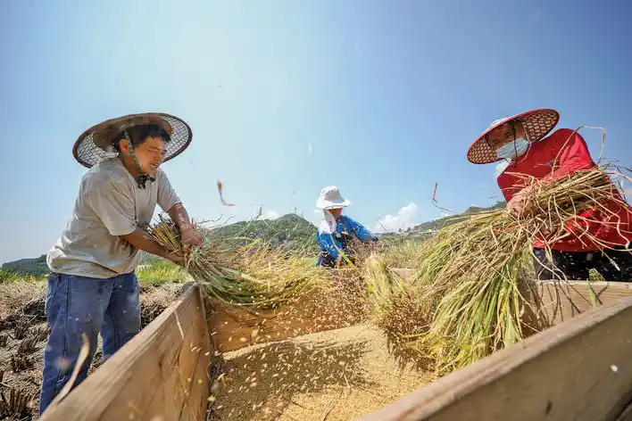国内统一刊号cn520017黔东南日报社出版