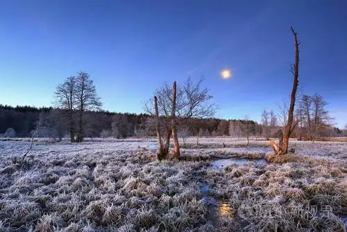 暮光之城在草地上