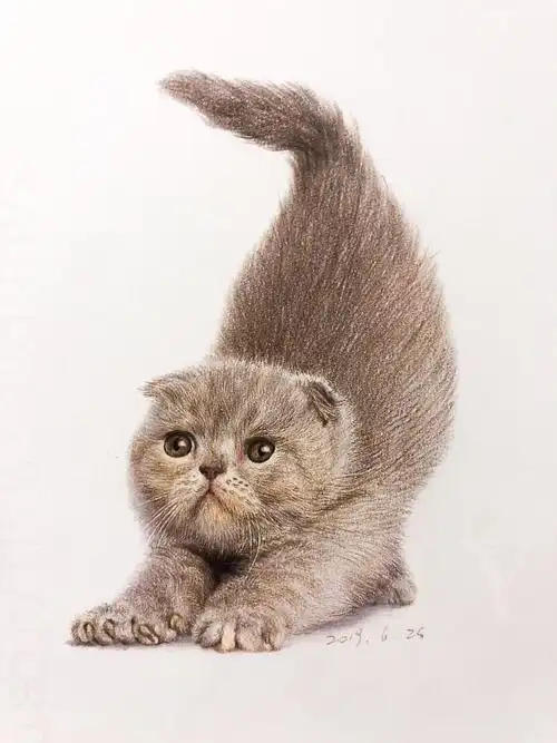 彩铅动物随笔练习