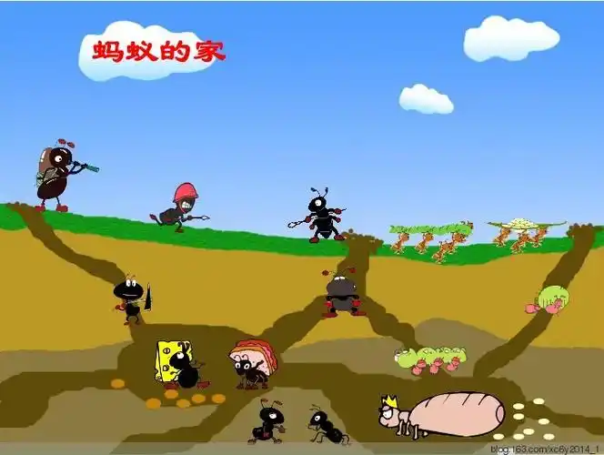 科学活动《蚂蚁的世界》