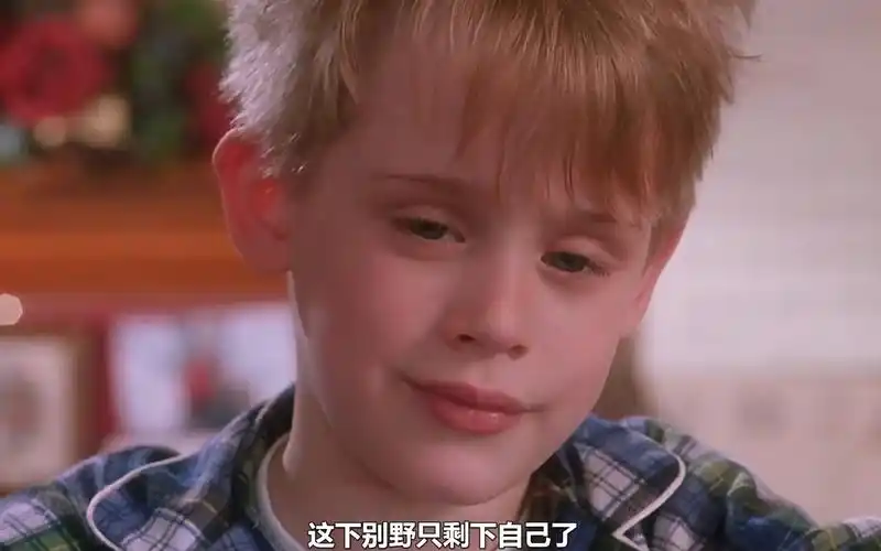 《小鬼当家》8岁小孩一个人在家,将两个笨贼整的惨不忍睹