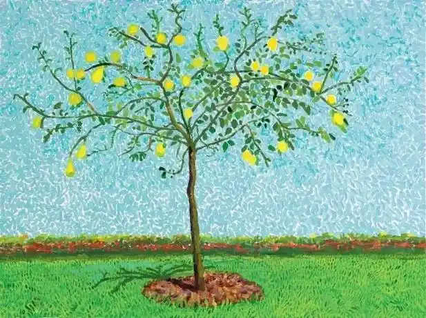 大卫·霍克尼 画里的春天#艺术 #图文伙伴计划 #名画欣赏 - 抖音