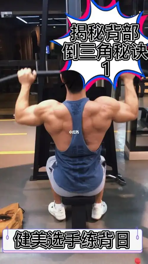 揭秘背部倒三角第一期