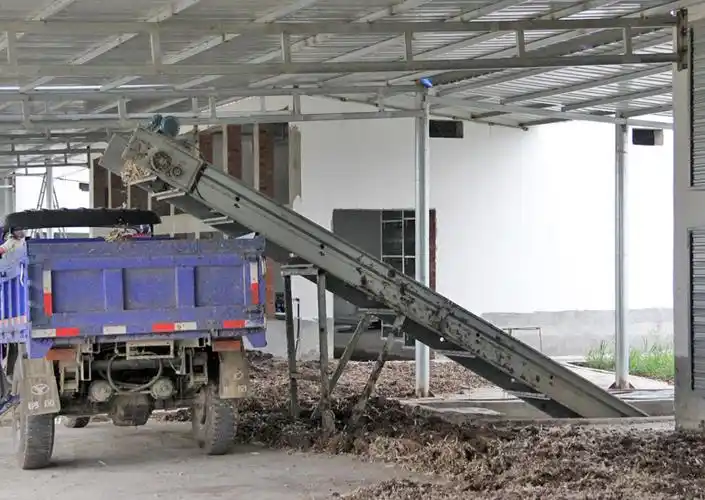 自动传送带清粪与人工相比有哪些优势?