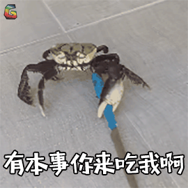 有本事你来吃我啊gif搞怪gif螃蟹gif蟹蟹gif谢谢gifsoogifgifsoogif