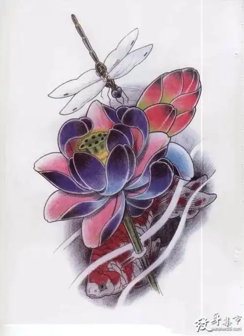 莲花纹身,莲花纹身手稿,莲花纹身手稿图案