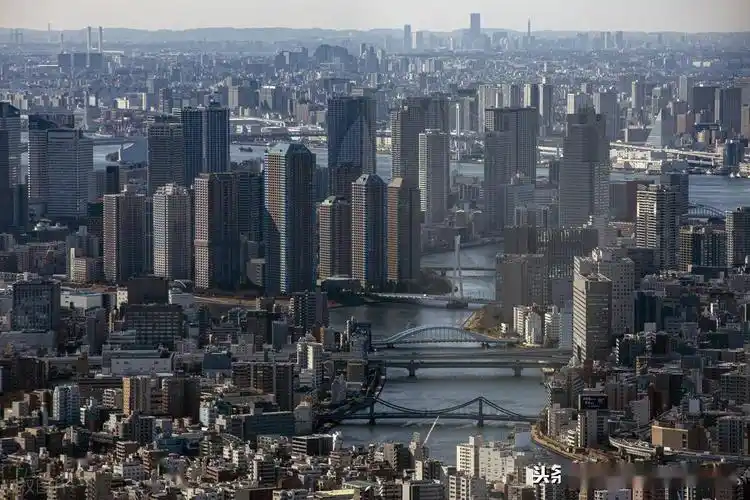 摄影组图俯瞰东京摩天大楼鳞次栉比蔚为壮观