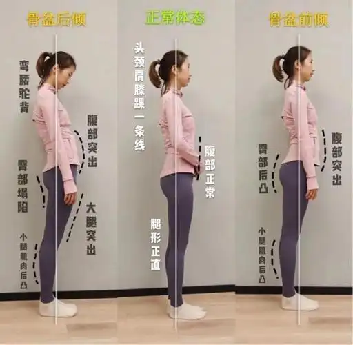 所以日常要注意自己的体态是哪一点不好,对症下药才更好地调整好体态