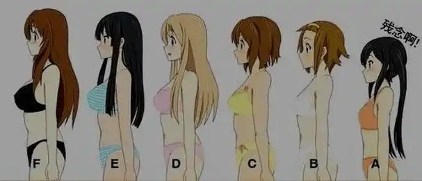 罩杯大小侧面对比示意图片