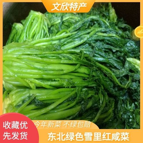 东北雪里红新鲜雪里蕻咸菜雪菜绿叶菜开胃菜下饭菜东北咸菜批发