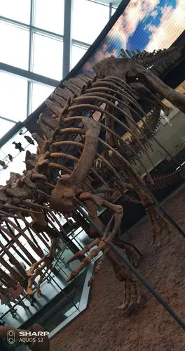 标题:赣州自然博物馆