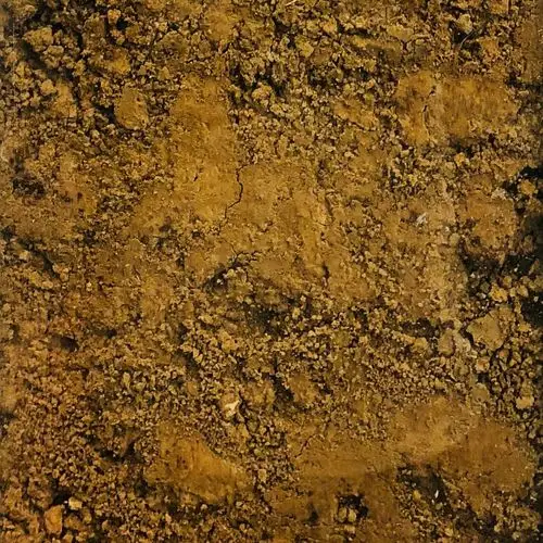 陆地上的各种土壤