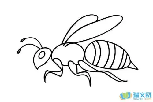 大黄蜂头盔简笔画儿童简笔画卡通马蜂怎么画彩色简单蜜蜂简笔画的教程
