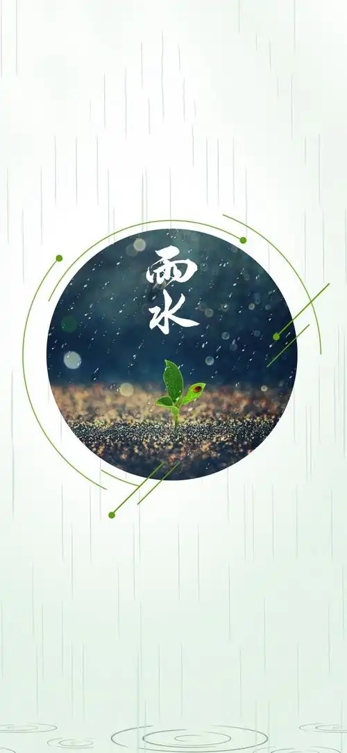 二十四节气雨水简约设计