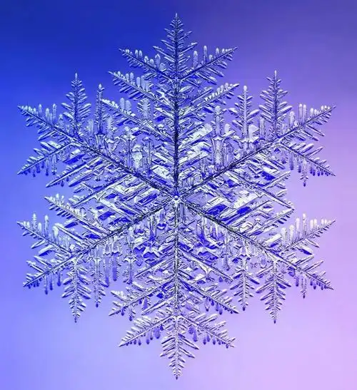 他拍下世界最美68张照片罕见三角形雪花曝光8万人痴狂宇宙终极奥秘是