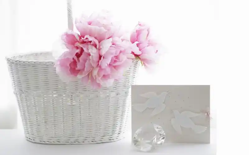 纯白治愈系静物小清新高清桌面壁纸