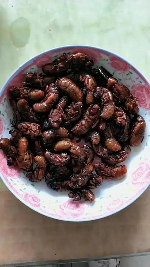 我们这里管这个叫结了龟,你们那儿叫什么?