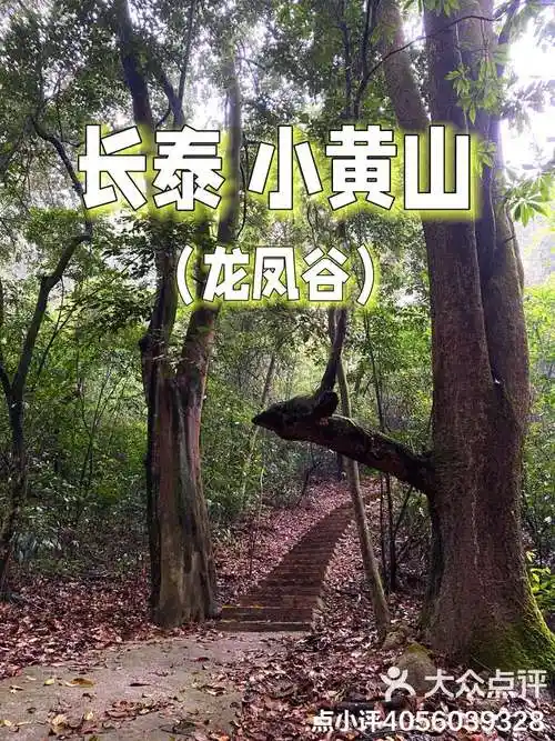 每周一山 长泰小黄山(龙凤谷)7215-大众点评