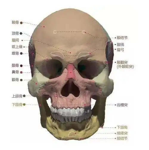 【口腔微课堂】别误会!你以为我偷偷整了容,其实我只是摘了牙套.