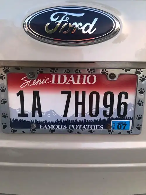 美国各州漂亮的车牌