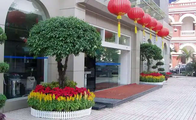 售楼中心植物租摆方案