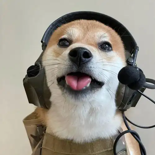 头像| 男生:好好等 可能会晚些 但会更好些