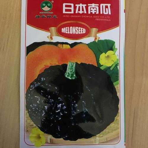日本南瓜种籽短蔓冠甜如蜜窝瓜蔬菜种子板栗疙瘩夏秋冬农家田园孑