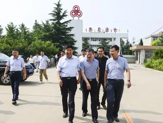 海阳市人大常委会主任李英作深入方圆集团检查工作