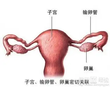 子宫直肠陷窝有硬结该怎么办