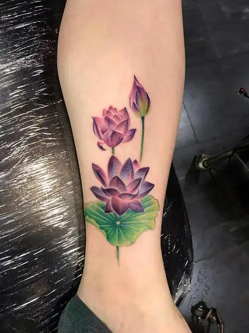 荷花(修改原纹身)_纹身图案手稿图片_张鹏展的纹身作品集