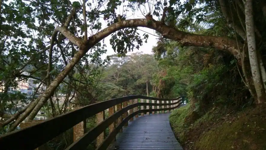 日月潭涵碧步道好玩吗,日月潭涵碧步道景点怎么样_点评_评价【携程