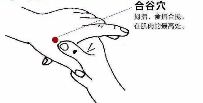 肚子痛怎么办肚子疼是真的我行将止