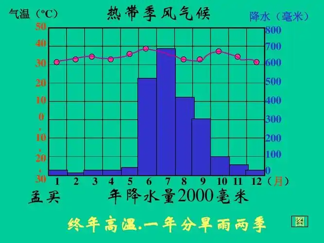 世界气候降水柱状图清晰版ppt_word文档在线阅读与下载_无忧文档