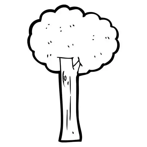 高树,向量,在白色背景上的高大的树卡通