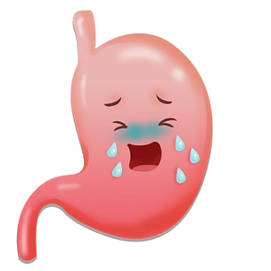 器官耳朵卡通人体器官健康的消化系统,循环系统医学图表,胃肠道系统