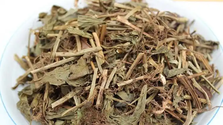 灵香草的功效与作用