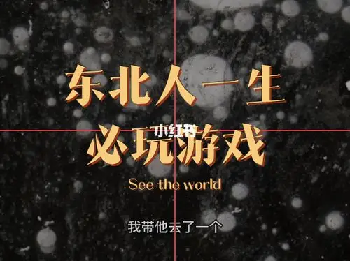 到南方朋友了解一下,东北人冬天都玩啥_冬天去哪玩_vlog_vlog我的一天