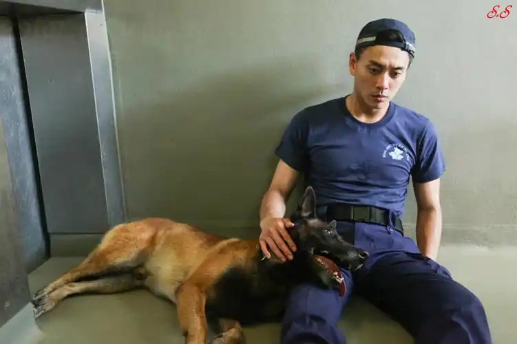 p>《警犬巴打》是 a target="_blank" href="/item/香港电视广播有限