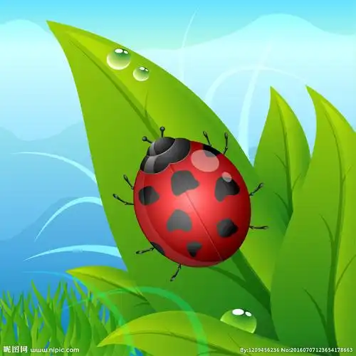 昆虫矢量图设计图__其他_动漫动画_设计图库_昵图网nipic.com