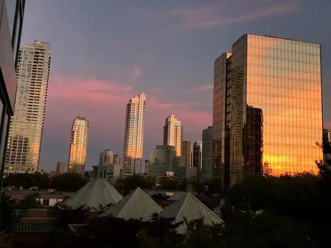 rong的美篇 窗外景一一傍晚