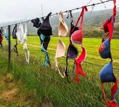 这些寺庙都是上百年传承下来,有的香火旺盛,有的却被废弃.