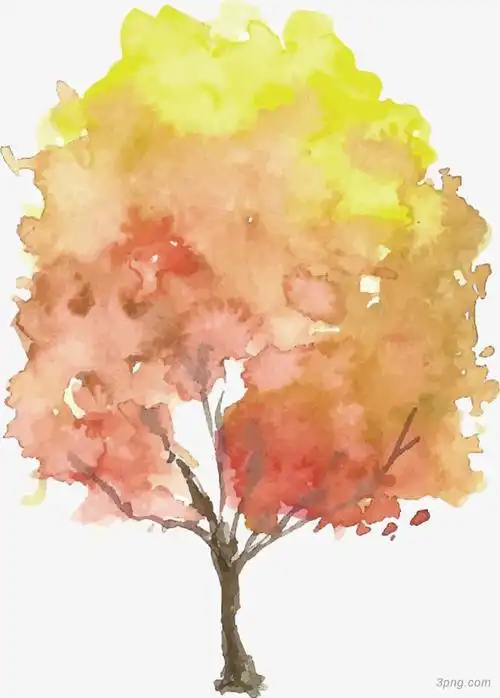 手绘枫树矢量图下载